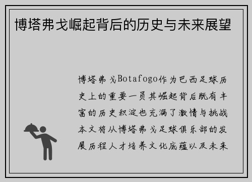 博塔弗戈崛起背后的历史与未来展望