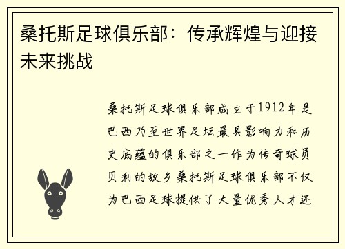 桑托斯足球俱乐部：传承辉煌与迎接未来挑战