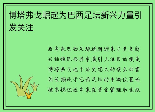 博塔弗戈崛起为巴西足坛新兴力量引发关注